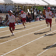 P1290456