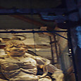 P1300670
